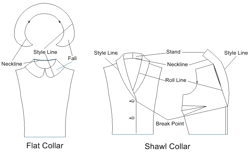 anatomy of the collar