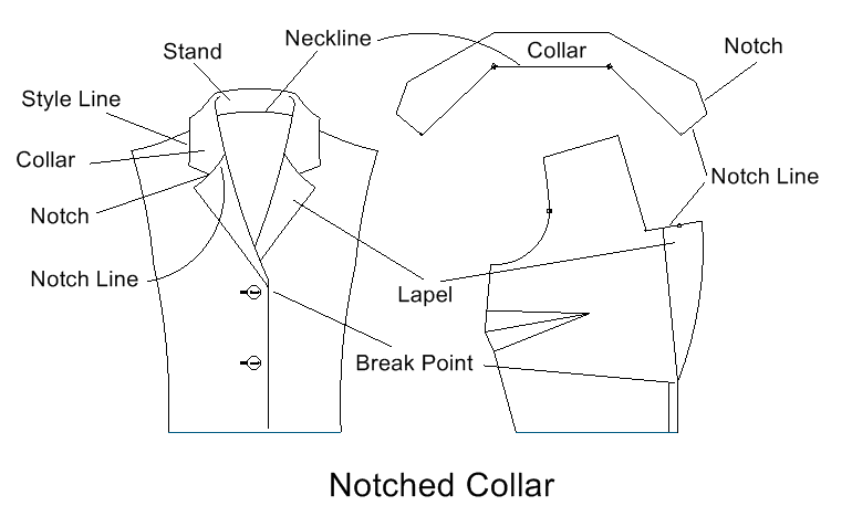 anatomy of the collar