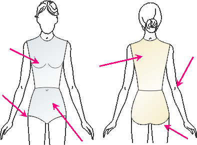 anatomy of the dart