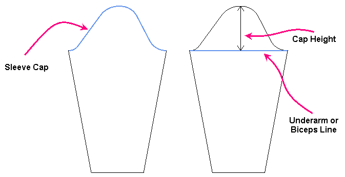 anatomy of the sleeve